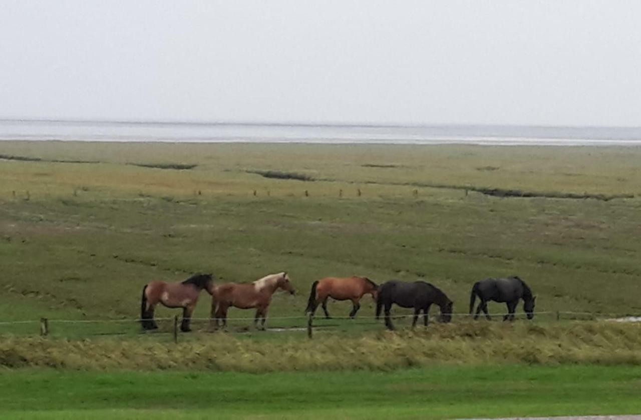 Inselresidenz Wattenmeer - Wohnung 7 Juist Esterno foto